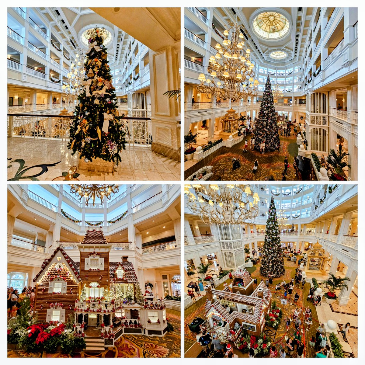 _christopher__0's tweet image. #GrandFloridianGlam #GingerbreadGrandeur #TreeTrimmingMagic #LobbyHolidayElegance #GrandFloridianChristmas #GingerbreadHouseJoy #FestiveFloridianFoyer #disney #disneyworld #WaltDisneyWorld