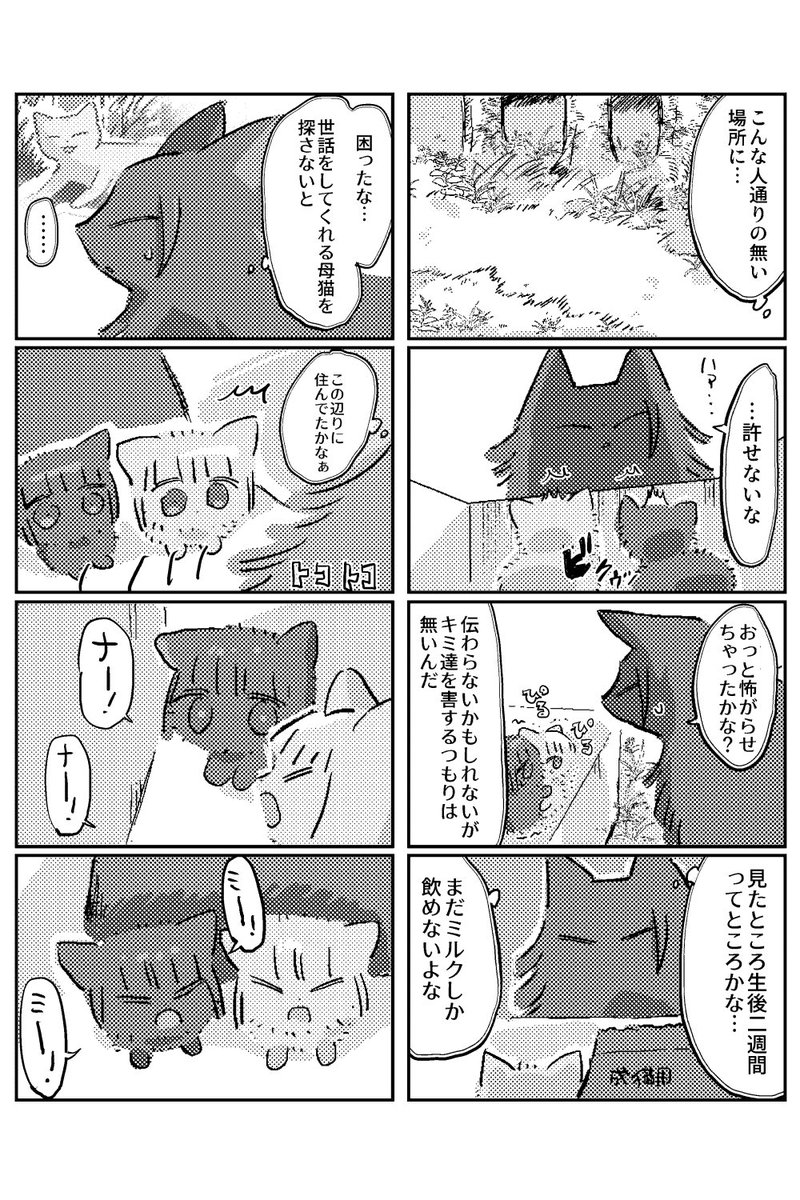 ねこごげ50.51 暮色蒼然編 