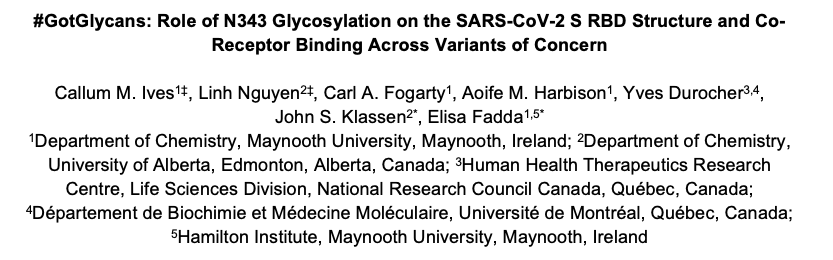 Exciting #glycotime now live on #bioRxiv (doi.org/10.1101/2023.1…)! In this work, appropriately named #GotGlycans, we teamed up with John Klassen’s group at the University of Alberta and with the help of Yves Durocher (NRC) we show how N-glycosylation (even at a single site) can