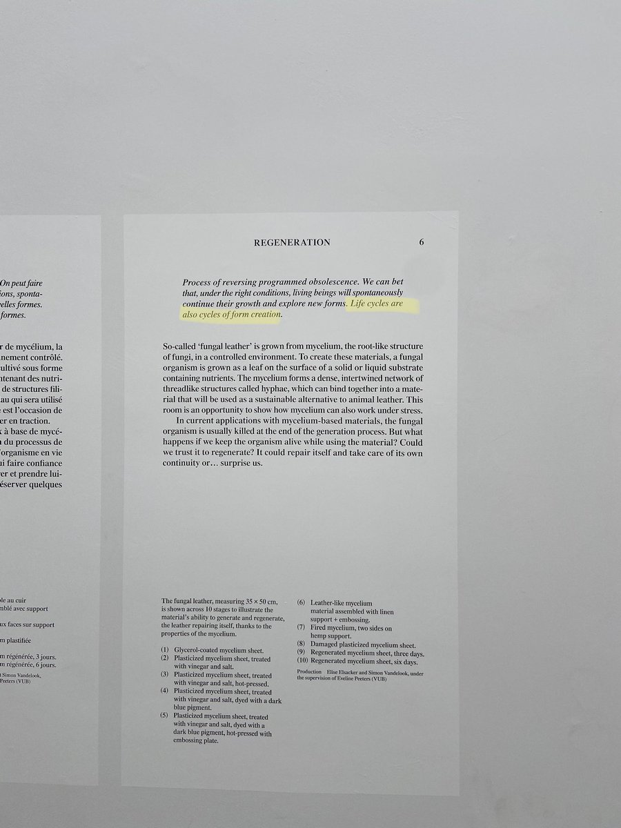 MartaRoncalli's tweet photo. Cosas desde la Biennale✨ https://t.co/LKCyKHYBg2