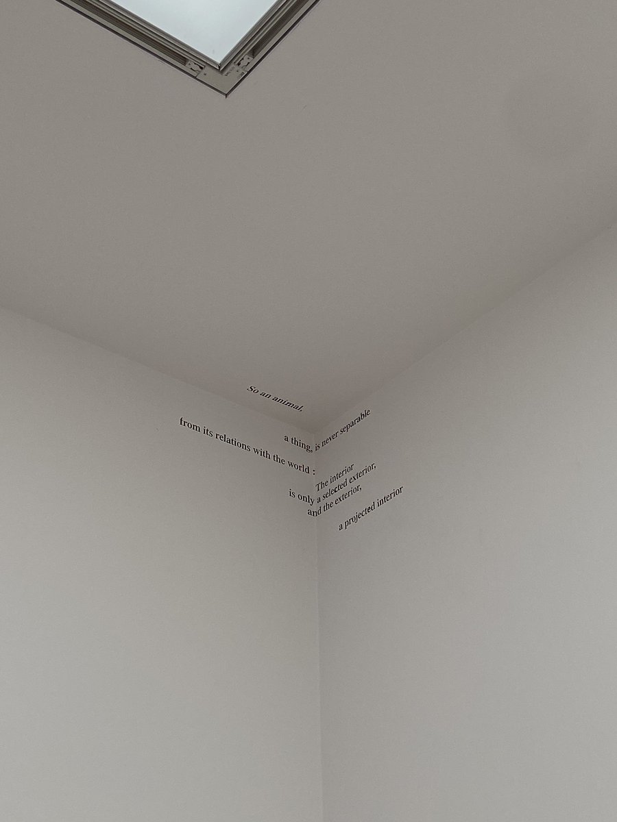 MartaRoncalli's tweet photo. Cosas desde la Biennale✨ https://t.co/LKCyKHYBg2