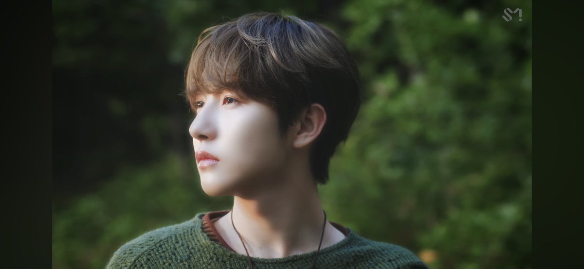 ミ🍀⋆.ೃ࿔* :･🌳₊๋࣭ ⭑