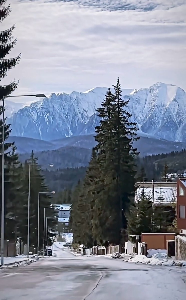 Travel_2Romania's tweet photo. Predeal is known for some of its popular attractions, which include:
Predeal Ski Area
🚡🏔️⛷️🚴🏂❄️🥽
Predeal Monastery
Dracula Bike
Dinamica Predeal
Tennis court #Predeal #resort
#România #TraveltoRomânia https://t.co/km5pf2zBWP https://t.co/TcCpX629e5