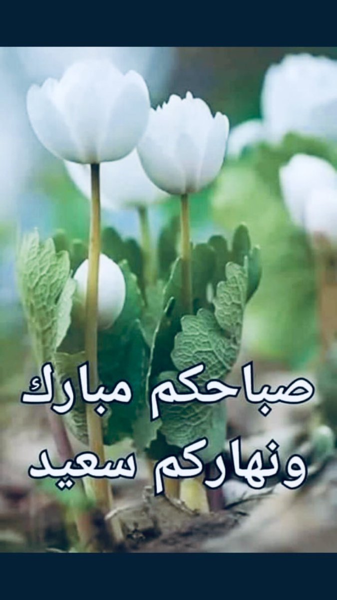 عبد المجيد مصطفى (@nojrea1wgsxyvtw) on Twitter photo 