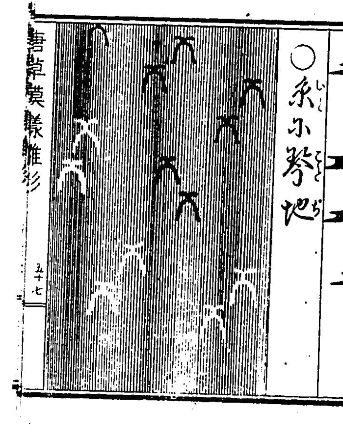 和柄シームレスパターンを1日何個か作るというゲッシュを己に課すことにした。 国立国会図書館に明治時代の資料があるが、読めないという壁にいきなり衝突した。現在は「琴地」じゃなくて「琴柱」らしい。漢字から違っている。