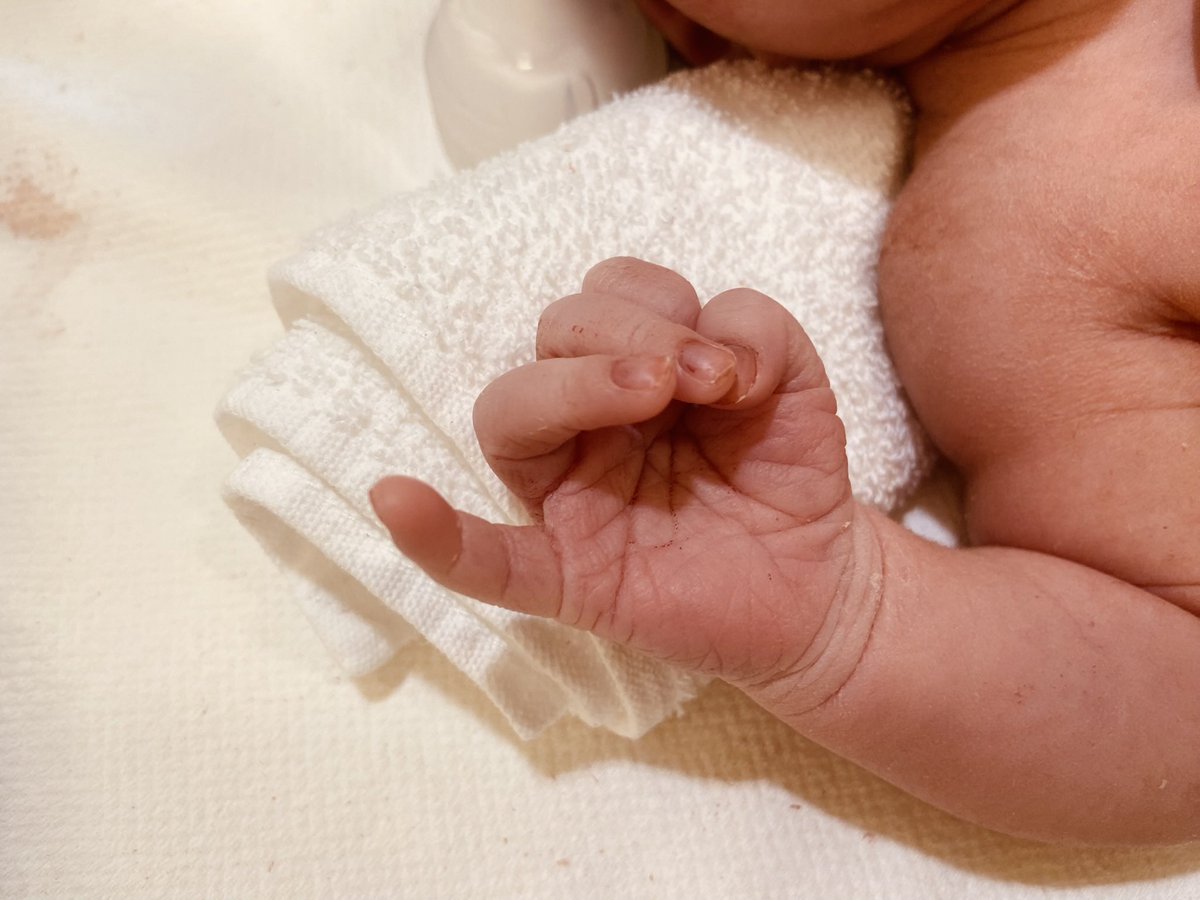 皆さんこんにちは〜☀️
ここ1ヶ月ほどX開いてませんでした…💦

皆さんにご報告があります〜✨✨
実は先月11/13に可愛い我が娘が出産しましたー👼💕
ここ1ヶ月ほど子育てなどでいろいろとバタバタで…🥲🥲
本当に子育ては大変だ…って思う毎日ですが今の私はとっても幸せです🥰🥰

本日ご報告まで〜😊✨