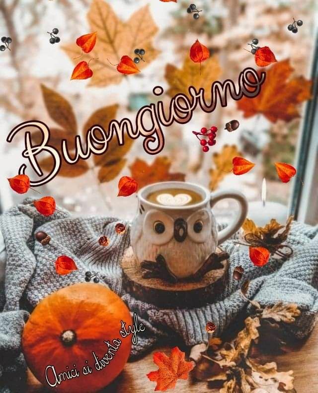 #6dicembre Buona giornata ☕🌞⛄