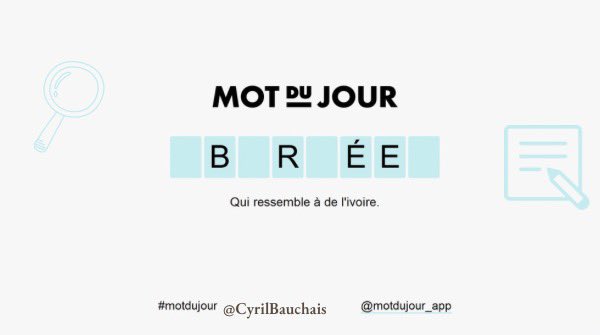 Cyril Bauchais 😻 tweet media