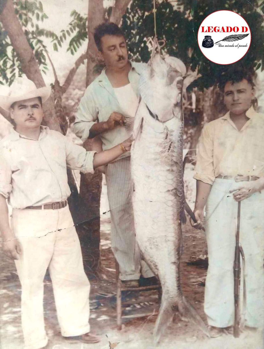 RevistaLegadoD's tweet photo. LA FOTOGRAFÍA DEL RECUERDO
https://t.co/jkCmMJy1Al https://t.co/p2Wrbgs4uu