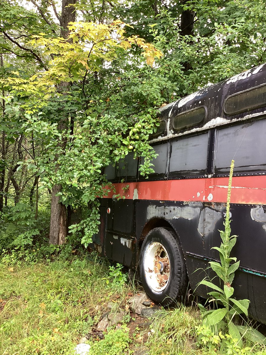 Sykes2026's tweet photo. Mount Starr King New Hampshire. #FreeTheLeaf #FreeFood #FreeWater #FreeHousing #FreeTheHostages #EndTheFed #BringHomeTheTroops #NoBorders #Freedom #Independent #Peace #FreeNewHampshire #NH01 #NH02 #NHPolitics #nhgov https://t.co/CfZhndjkM6