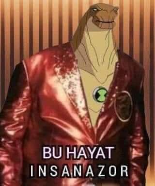 Proxima_3599's tweet photo. @bokumaydin Bizim olayla alaka seviyemiz? https://t.co/LyvidJs7vk