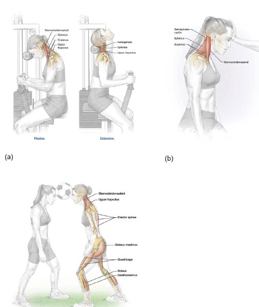 IberoPsyc's tweet image. 🔍Our latest study reveals fascinating insights into the topic and Explore the in-depth analysis and gain a fresh perspective Read the full article here: rb.gy/kv9zyc
#Research #insights #ArticleHighlight #USA #Japan #Iraq #G20Summit2023