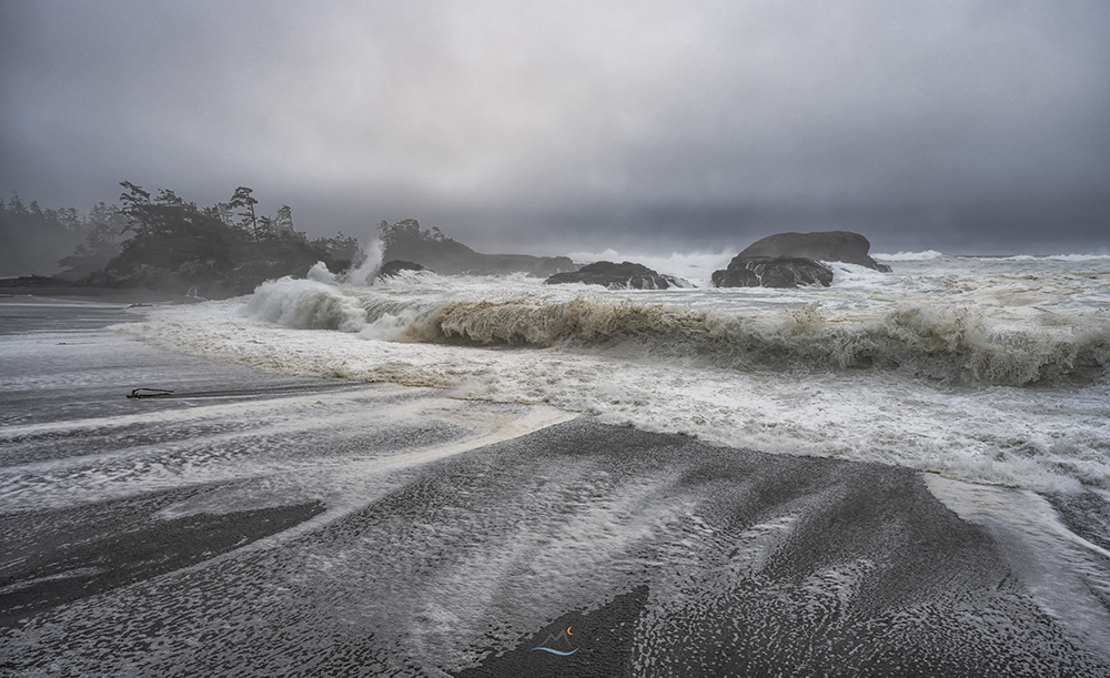 tourism_tofino tweet picture