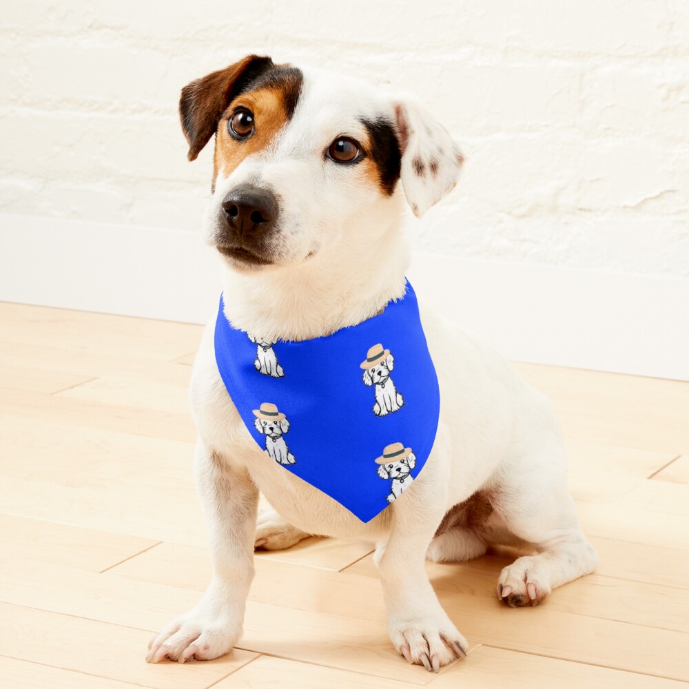 KCstore3's tweet photo. Cap Dog Design For Your Pet
https://t.co/eSWrXClDBF
If you like this product, then visit our store now through the link in bio. Have a Nice day https://t.co/0deYqykylC