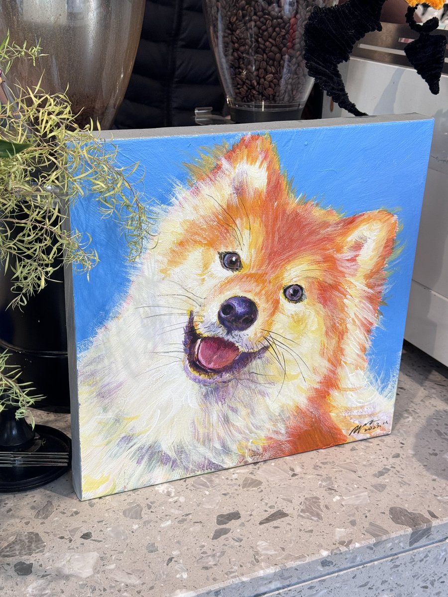 392430085's tweet photo. ☕🐶 https://t.co/90YOLu5flR