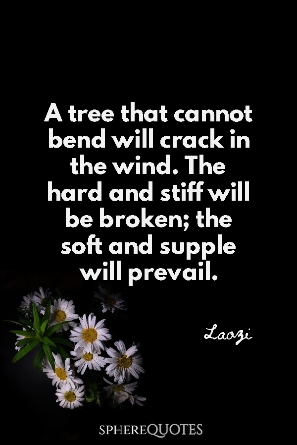 An_Collective's tweet photo. Change is happening faster than humans can adapt; in order to make adjustments to our brave new world, we will need to be flexible and go with the flow. #FlexFlow #HyperNovelty https://t.co/uTXiupcmvh