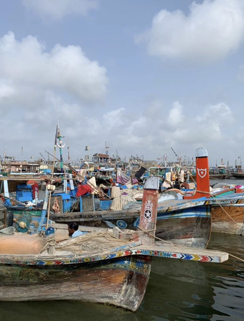 Ahmer Naqvi tweet media