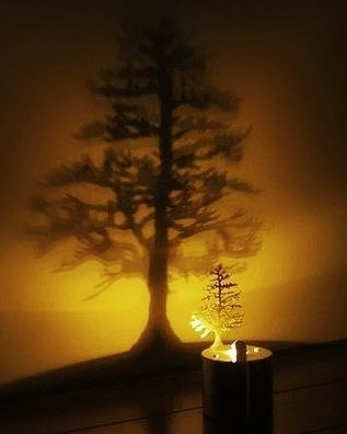 #بوح_الخاطر
 المغادرة الصامتة هي ... الرد العظيم لكل من استهان بطيبة قلوبنا "🦋