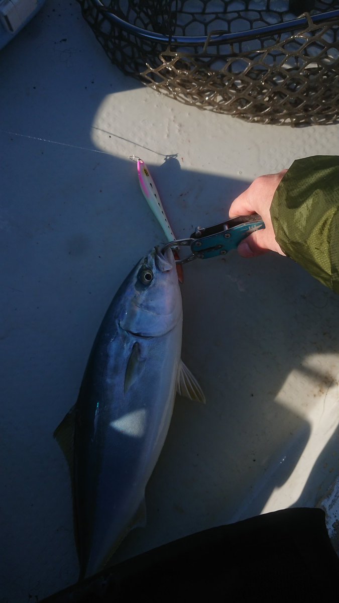 ＭＫＣ tweet media