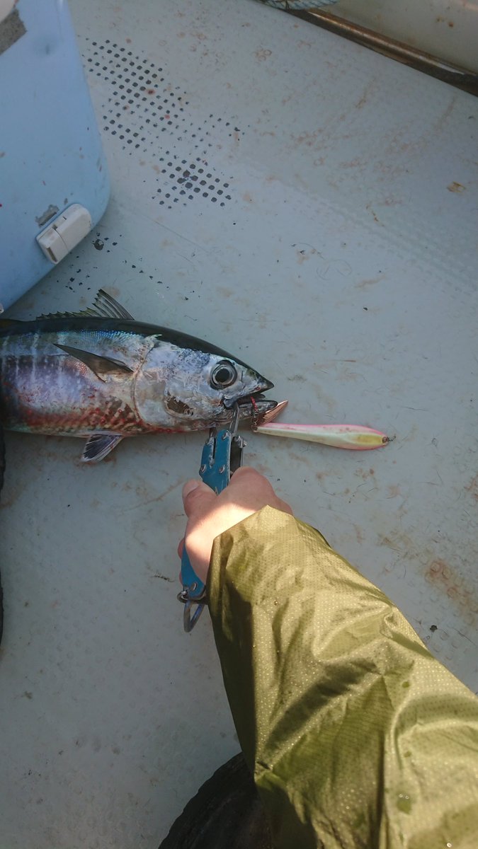 ＭＫＣ tweet media