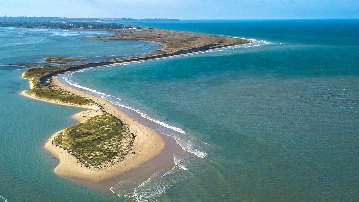 Lieu étonnant de balade, entre salicorne, dunes et moutons de pré-salés, le Havre de la Vanlée est un site protégé. Paradis des nature-lovers et de la glisse, l’air iodé y est bien particulier et on y respire à pleins poumons  ! > bit.ly/3uRsTX7
📸 Sacha Chabot