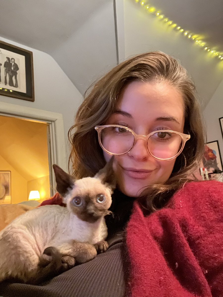 jelizabethbara's tweet photo. Look at my cat. Look at him. Look at my cat https://t.co/p5AjdXePIs