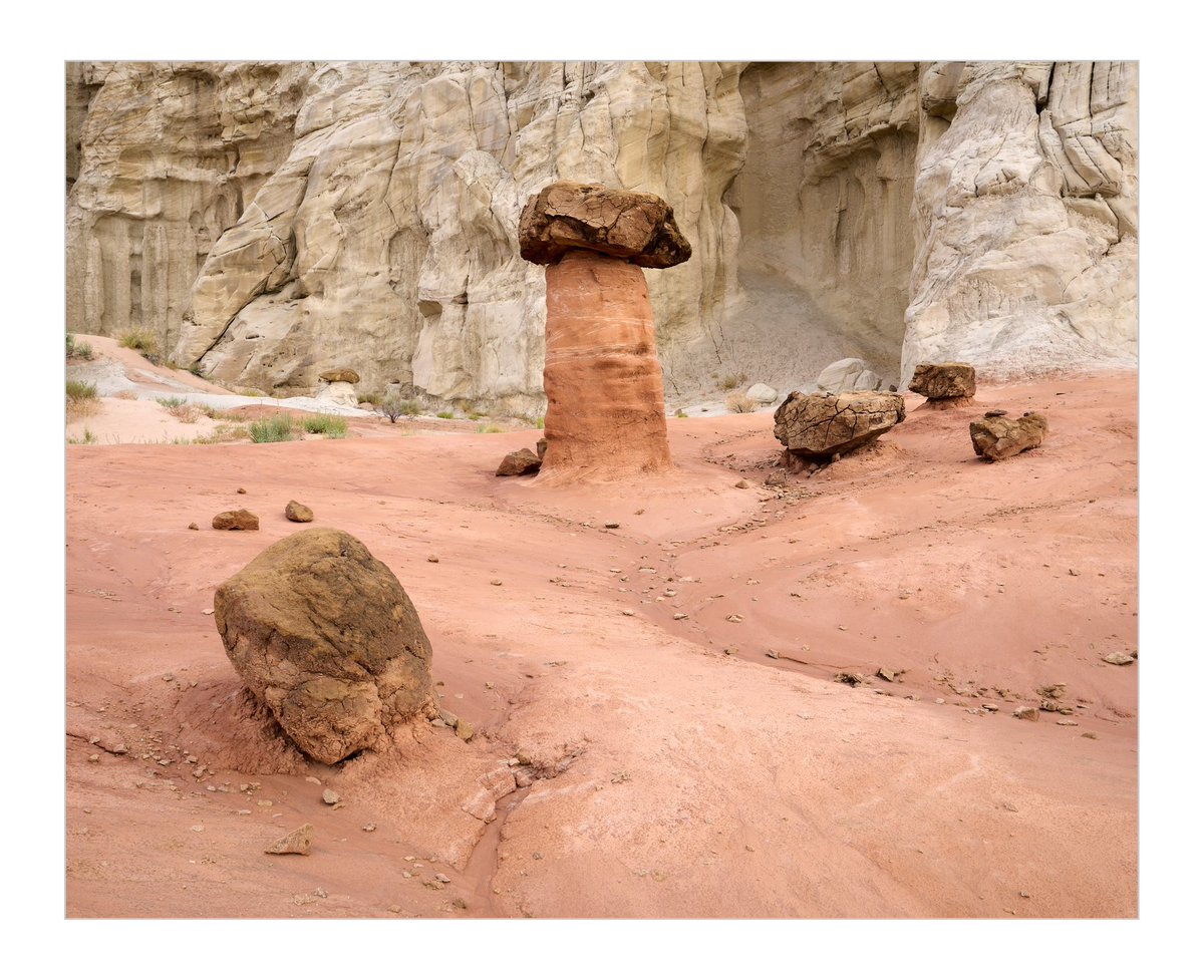 pappusrkr's tweet photo. The Toadstool Hoodoos of Utah, USA. https://t.co/VUiBC4O10e