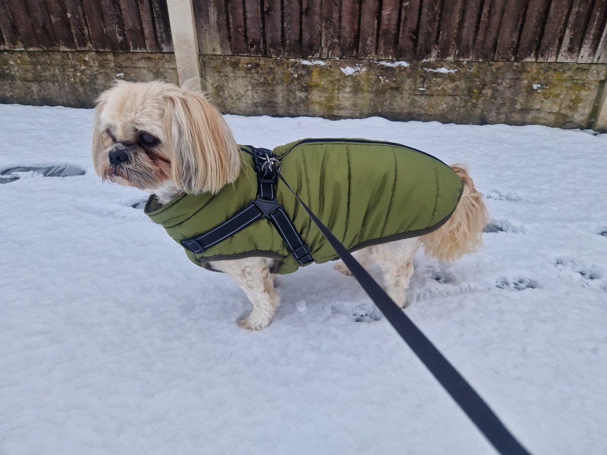 New stupid coat........someone rescue me from this place 🙄🙄🙄