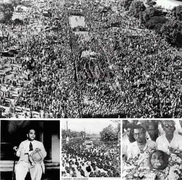 आप थे तो आज हम है, अगर आज आप होते तो पाखण्डवाद, ब्राह्मणवाद, जातिवाद, मनुवाद आदि न होता
#मानव_मान_एक_समान🤝
#जयभीम🙏 
#जय_संविधान📚✍️🇪🇺 
#जयमूलनिवासी💙 
#महापरिनिर्वाण_दिवस 
#महापरिनिर्वाणदिन_6_डिसेंबर 
Miss You Baba Sahab😭😭😭