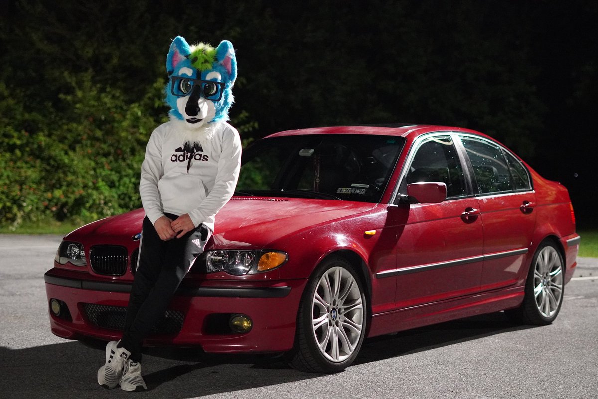 Hyper Husky tweet media