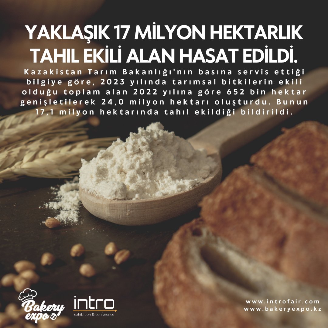 intro_fair's tweet image. Kazakistan Tarım Bakanlığı'nın verdiği bilgiye göre, 2023'te tarımsal bitkilerin ekili olduğu toplam alan 2022'ye göre 652 bin hektar büyütülerek 24 milyon hektarı oluşturdu. Bunun 17,1 milyon hektarında tahıl ekildiği bildirildi.#2024bakeryexpokz #bakerymachines #kazakhstan
