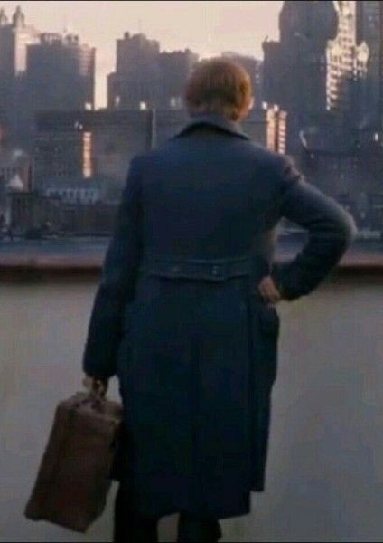 Hourly NewTina (@hourlynewtina1) on Twitter photo 