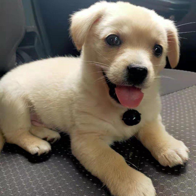 Toothil (@toothil73186) on Twitter photo 