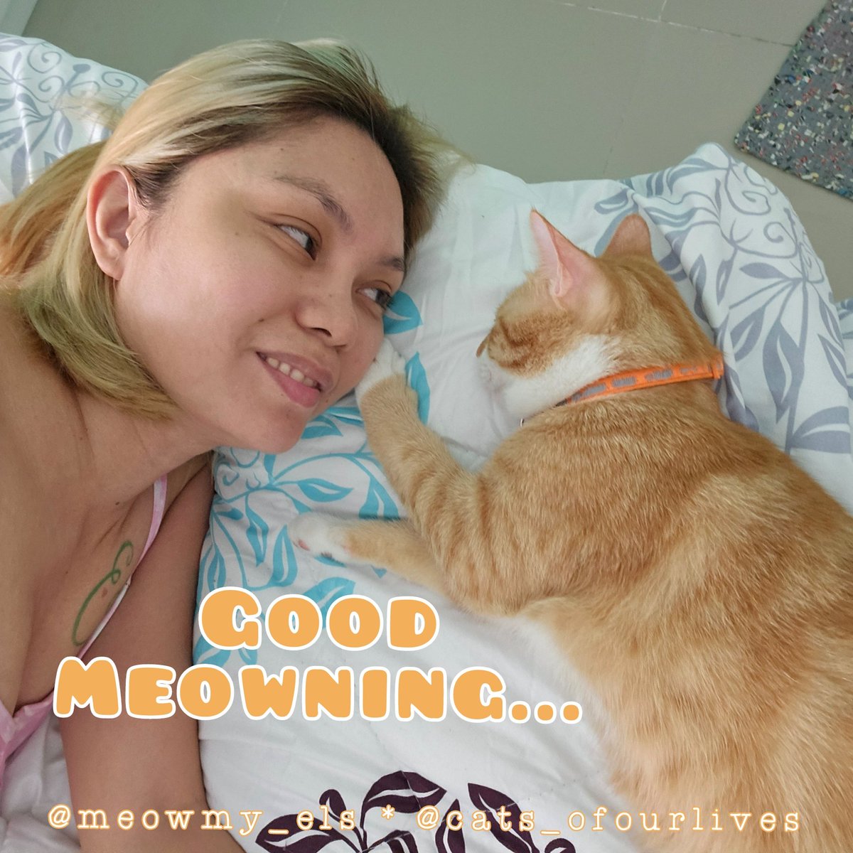 ElsbethLSE's tweet photo. Good Meowning... Good Meowning... Good Meowning!!!

Happy midweek, mga Kapusikets!!! 😽😽😽

#TammiAndMeowmy #MeowningsWithTammi #MeowningsWithCats #CmatsAndMornings #CatsOfOurLives #CatMommaLife #MeowmyEls #CuteCats #GingerCats #OneEyedCats https://t.co/pF5Y4HUPta