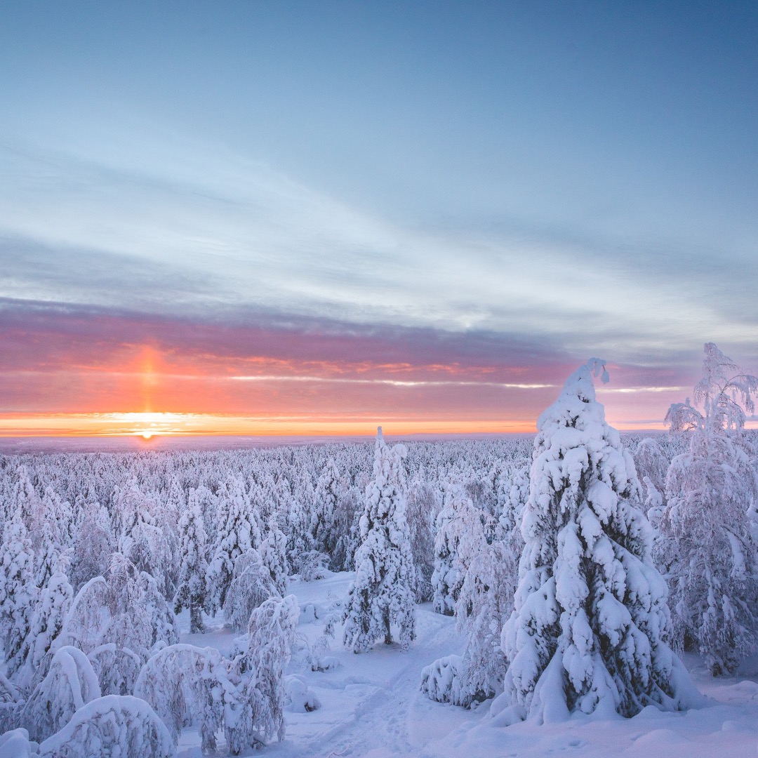OP_Pohjola's tweet photo. Hyvää itsenäisyyspäivää Suomi! 🇫🇮🧡 Puhdas ja monimuotoinen luontomme on yksi monista juhlan aiheista tänään.

Ilmastonmuutos muistuttaa meitä tänäänkin siitä, että me kaikki tarvitsemme luontoa. Pidetään yhdessä huolta Suomen luonnosta, jotta luonto voi pitää huolta meistä. https://t.co/w3xNXGoLWl