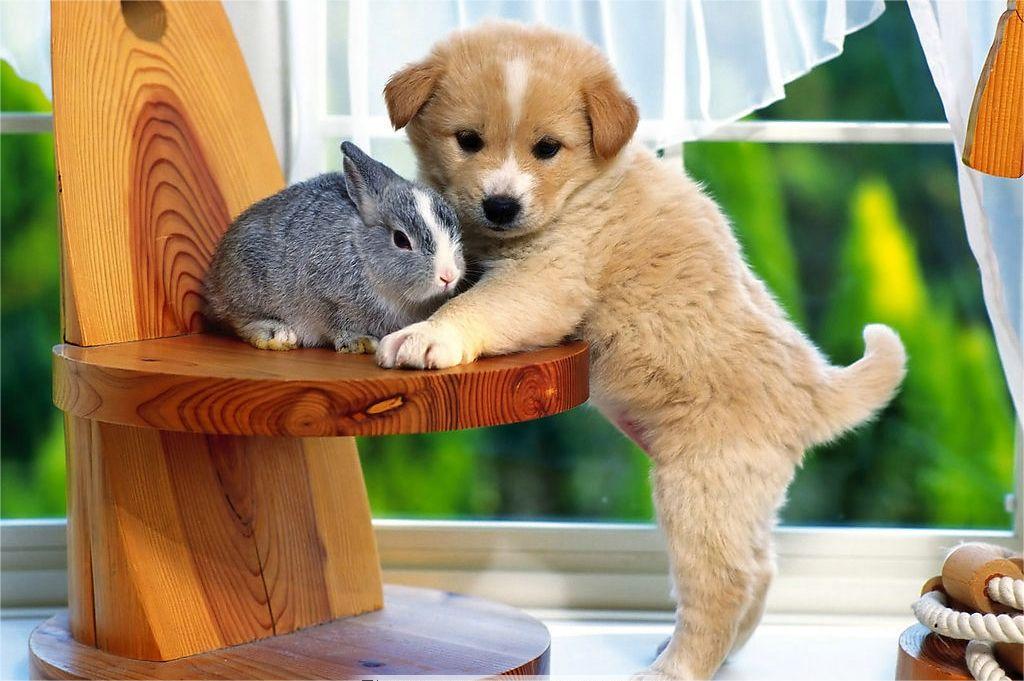 Taysla (@taysla848388) on Twitter photo 