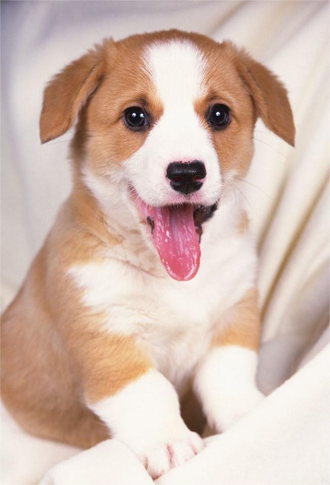 Thesmoa (@thesmoa139004) on Twitter photo 