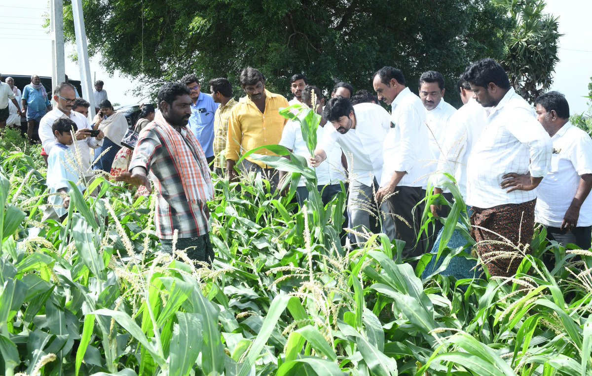 KCBachina's tweet photo. అద్దంకి మండలం, చిన్నకొత్తపల్లి గ్రామంలో మిచౌంగ్ తుఫాన్ ప్రభావంతో నీటిలో మునిగిన వరి మరియు మొక్కజొన్న పంట పొలాలను పరిశీలించి అన్ని విధాలుగా ప్రభుత్వం నుండి (1/2)

#bachinakrishnachaitanya #CMYSJagan #YSRCongressParty #BKC #addanki #TeamBKC https://t.co/8wmSMXom3t