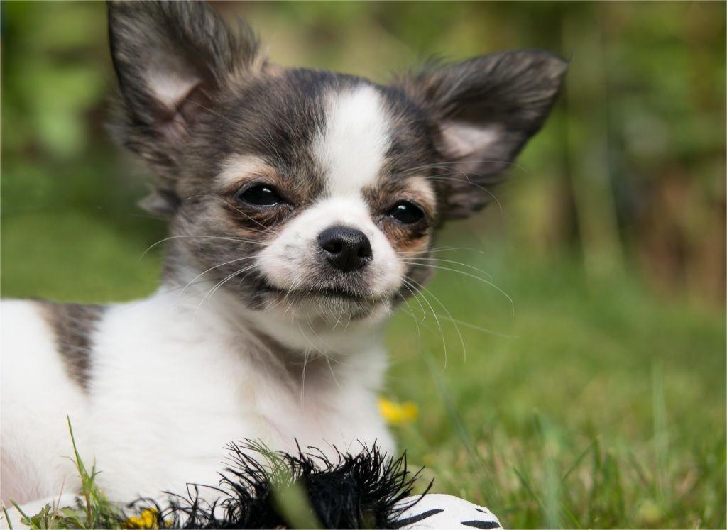 Sitinoo (@sitinoo139797) on Twitter photo 