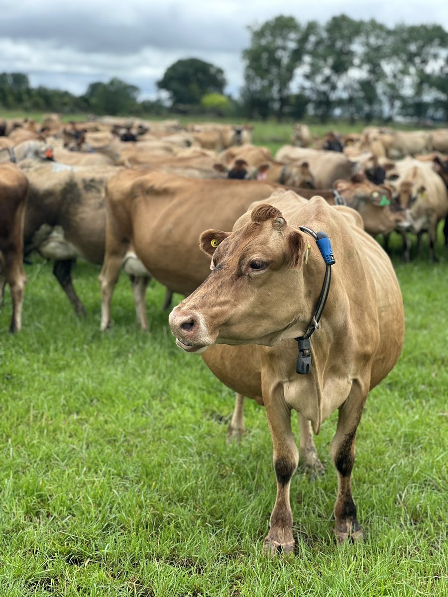 Alexandria Winning tweet media