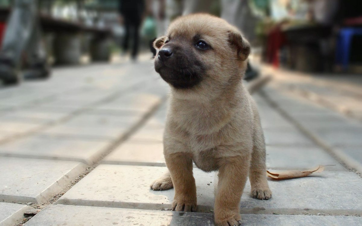 Leeseth (@leeseth593478) on Twitter photo 