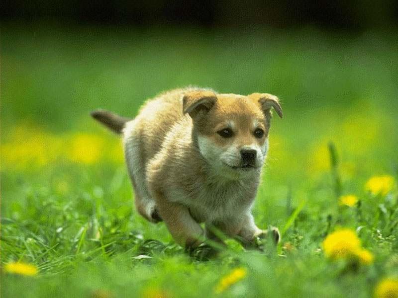 Featys (@featys80239) on Twitter photo 