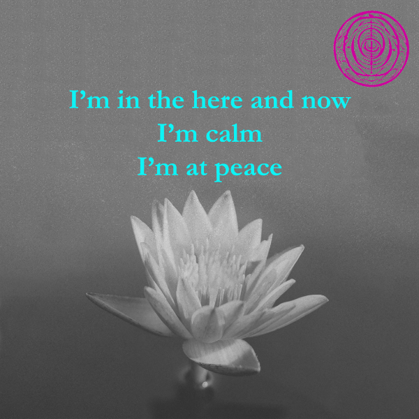 ImcVeronica's tweet photo. A mantra is a word or phrase that is repeated in meditation. It helps to focus the mind and promote inner awareness.

Discover my project and collection Mantra864 on @opensea 

#NFT #NFTCommunity #NFTcollector #NFTs #nftart #NFTCollection #NFTMarketplace #NFTartwork https://t.co/axilWWPQbz