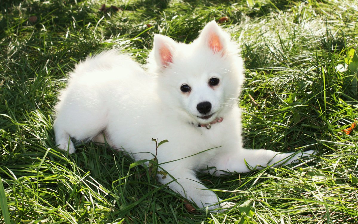 Soughez (@soughez61985) on Twitter photo 