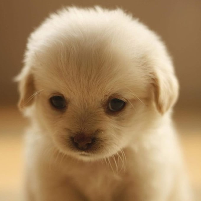 McSmosle (@msmosle81508) on Twitter photo 