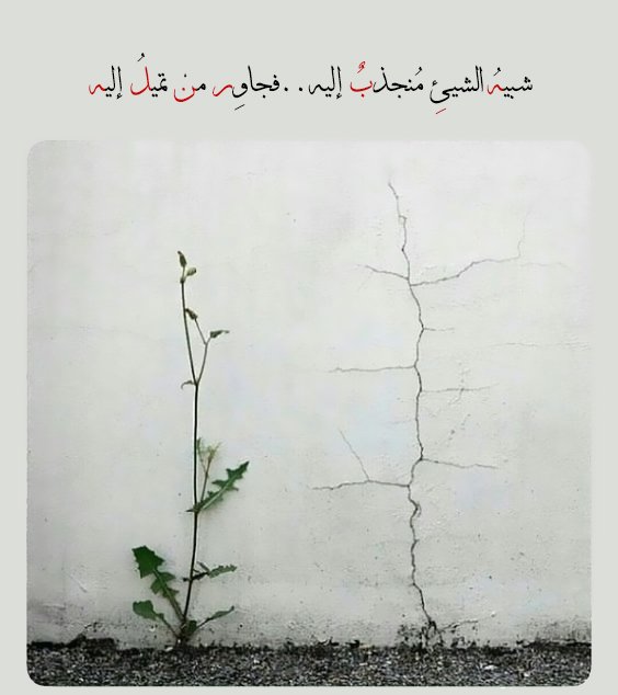 munther777's tweet photo. شبيهُ  الشيئِ  مُنجذبٌ  إليه ..فجاوِر  منْ  تميلُ  إليه https://t.co/78Hh8G1wqZ
