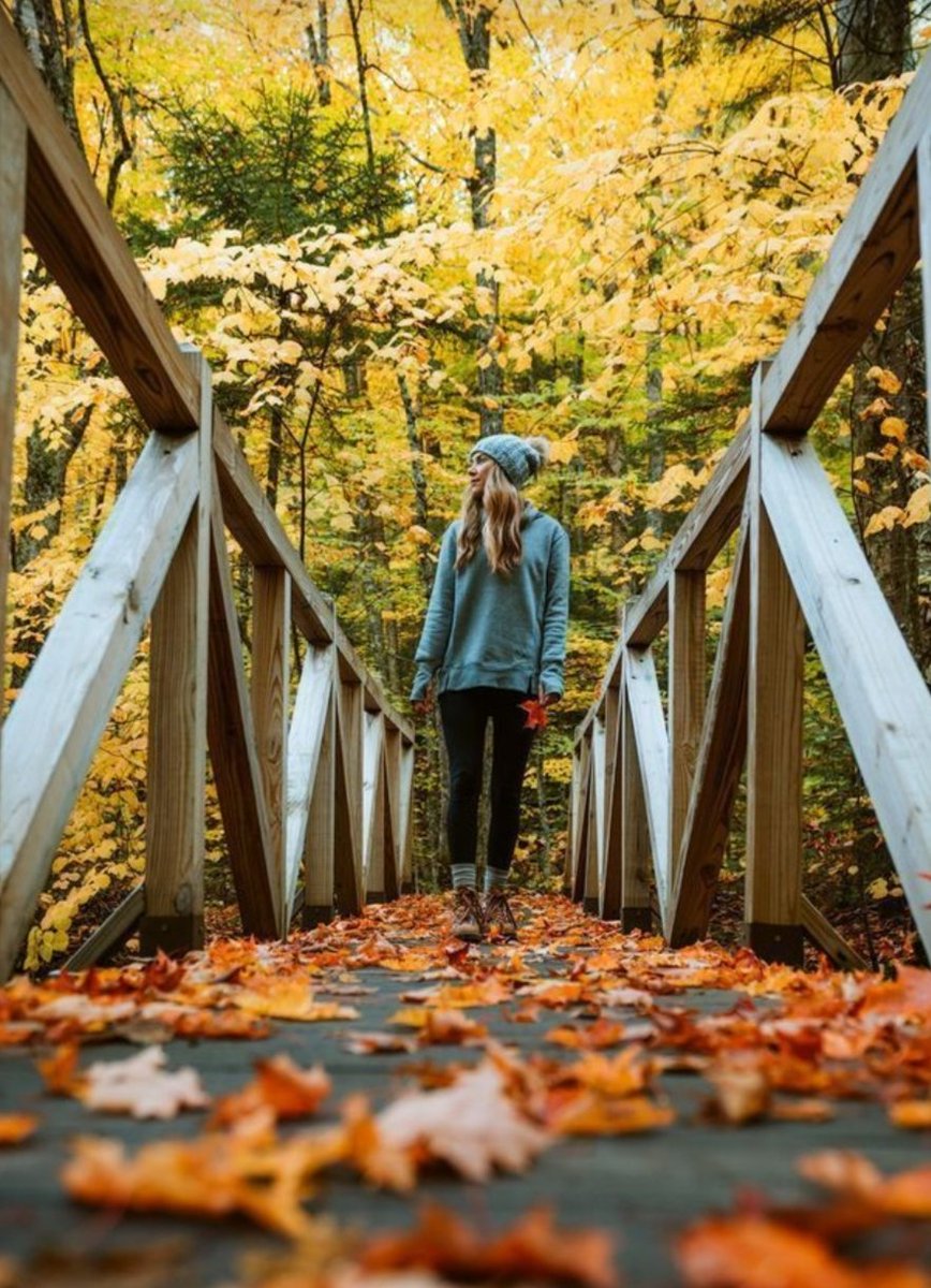 vesonbahar1's tweet photo. Tek başınaydı ve bundan hoşnuttu. Önemli her şeyi hayatı boyunca böyle öğrenmişti. Günaydın. ☕🍁 https://t.co/EXnveltQfN