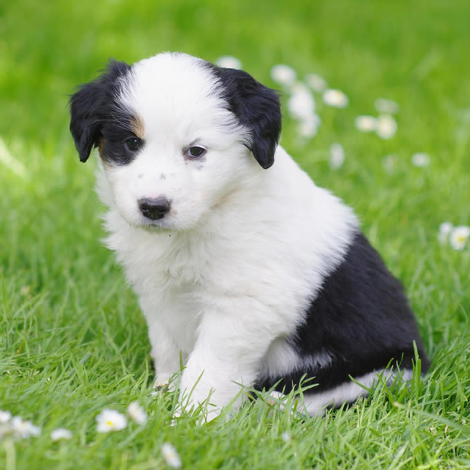 Steigh (@steigh173759) on Twitter photo 