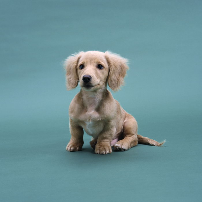 Sasempasm (@sasempasm33831) on Twitter photo 