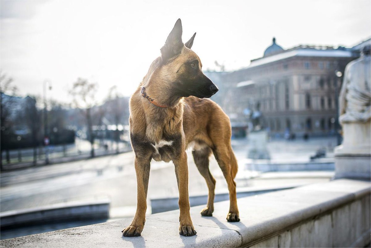 Tijoughte (@tijoughte86013) on Twitter photo 